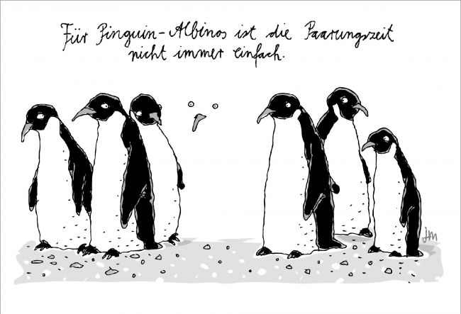 claas_janssen_tommy_mayer_cartoon_pinguin_albino_paarung_unsichtbar.jpg